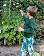 Load image into Gallery viewer, CECE Toto Trousers