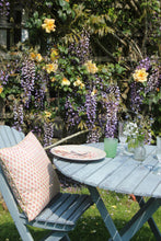 Load image into Gallery viewer, AMBERLEY Cushion Cover